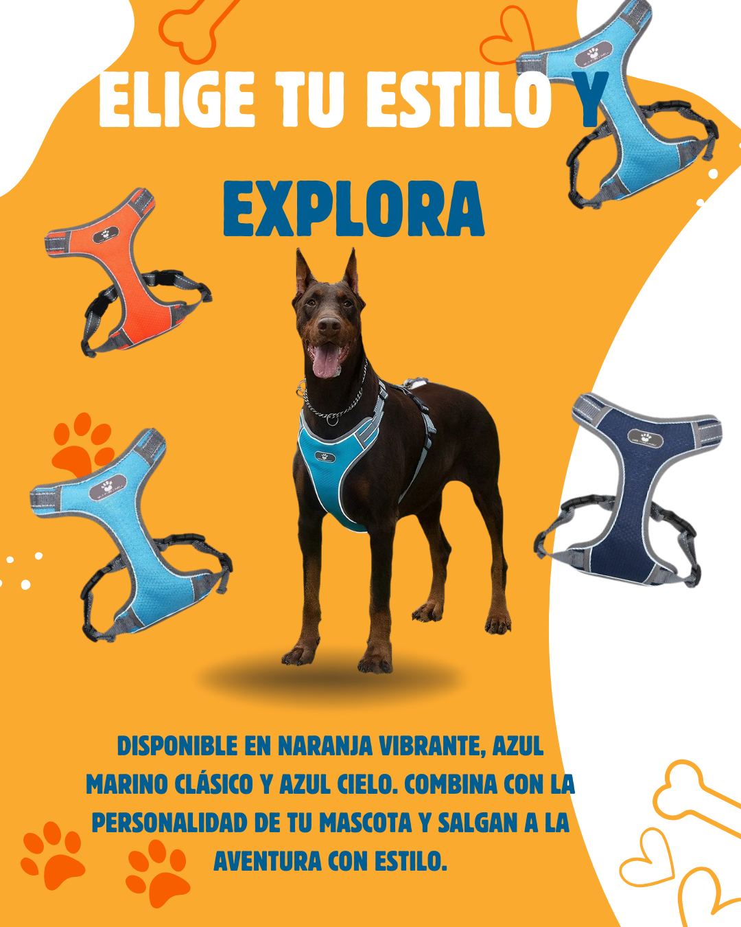 Arnés de Confort y Seguridad